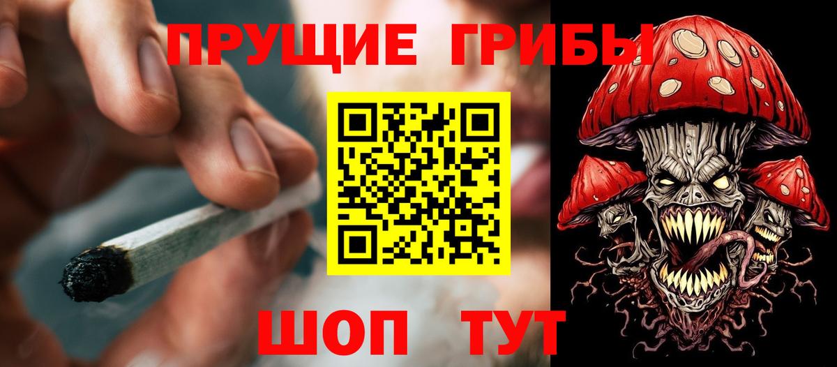Нальчик  Галлюциногенные грибы Cubensis  закладки  Вход с VPN 