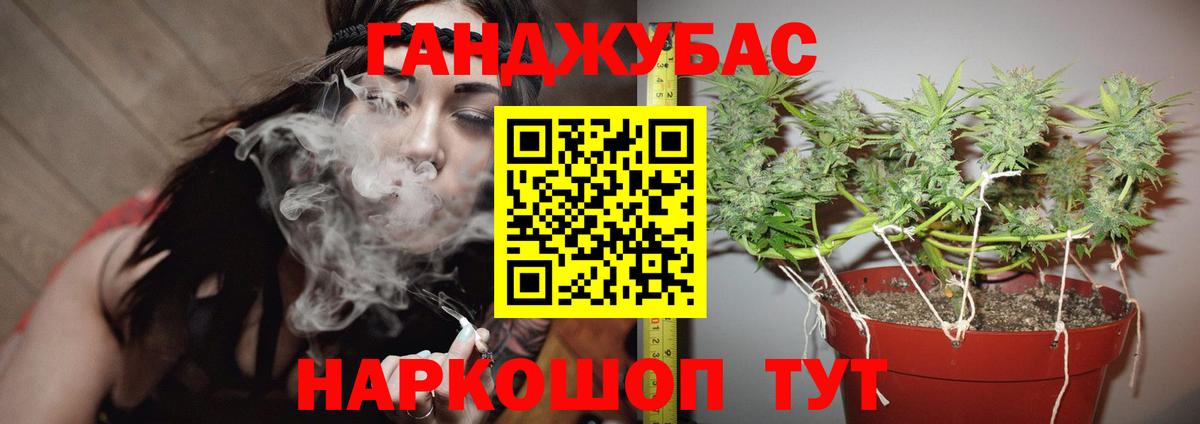 Канабис OG Kush Нальчик